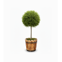 wood plant pot 2 وعاء نباتات خشب