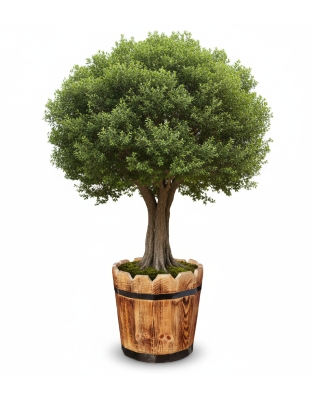 wood plant pot وعاء نباتات خشب
